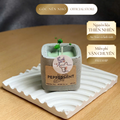 Cốc Nến Thơm Xi Măng Hương Bạc Hà Peppermint